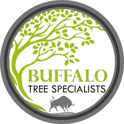 Buffalo Tree Specialists